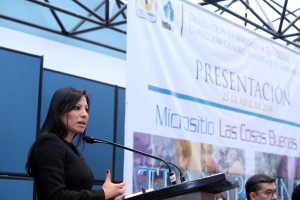 La jefa delegacional, Leticia Quezada.