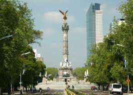 El mantenimiento de árboles debe ser constante