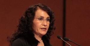 La senadora perredista informó que se crea un nuevo aparato legal y burocrático muy complejo
