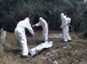 Ebola-Virus-2
