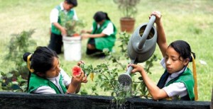 Escuela Verde, estrategia lanzada anteriormente por la Semarnat durante el 2012