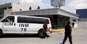 Las acciones de protección permitieron rescatar en este año a 10 mil 505 de ellos