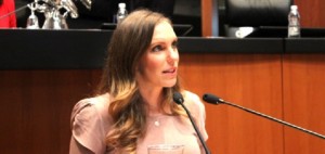 La senadora Layda Sansores pide que no participe en la dictaminación de la legislación secundaria en materia energética