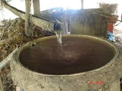 Producción artesanal de mezcal