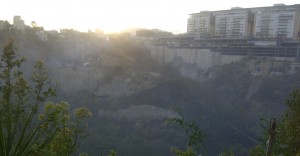 Se está buscando más presupuesto para planes de rescate y conservación