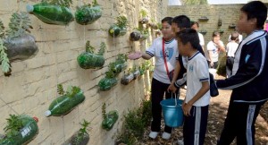 Forma parte de la enseñanza a los alumnos a través del cuidado y preservación de la biodiversidad