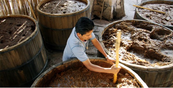 Contra cambios a modo de la NOM-070, defienden producción de mezcal