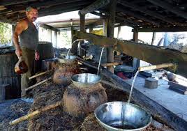 Mezcaleros en la infensión