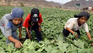El fenómeno de menores migrantes no acompañados y expuestos a todo tipo de violaciones a sus derechos alcanzó ya niveles alarmantes