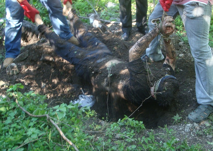 Iguala, Gro., agosto 07 de 2011 (IRZA).- El cuerpo sin vida del empresario, Armando Arroyo Román, fue encontrado semienterrado la mañana de este domingo en un paraje de la colonia Fermín Rabadán