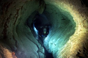 El Xilbalbanus Tulumensis se descubrió entre Puerto Morelos y Tulum Foto: Sipse