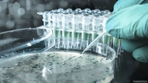 150424144212_modificacion_genetica_embriones_humanos_624x351_thinkstock (1)