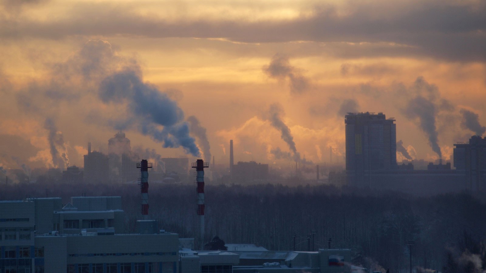 El smog reduce el cerebro afirma la OMS Al Momento Noticias El smog reduce el cerebro afirma la OMS Al Momento Noticias
