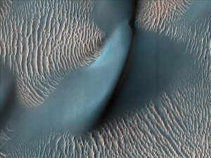 11134767w
