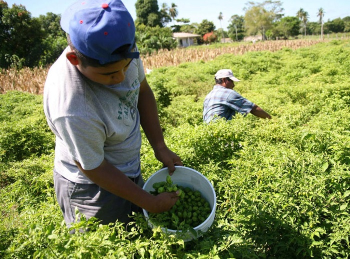 Foto: elsiglodetorreon.com