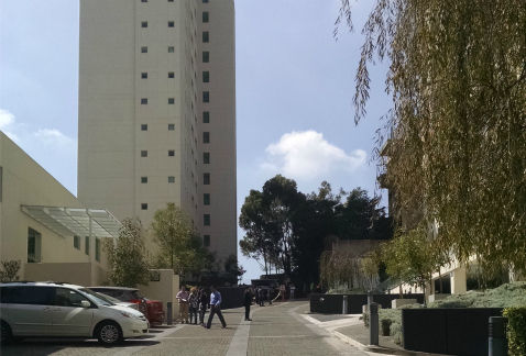 Fraccionamiento Residencial Vista del Campo Foto: Milenio