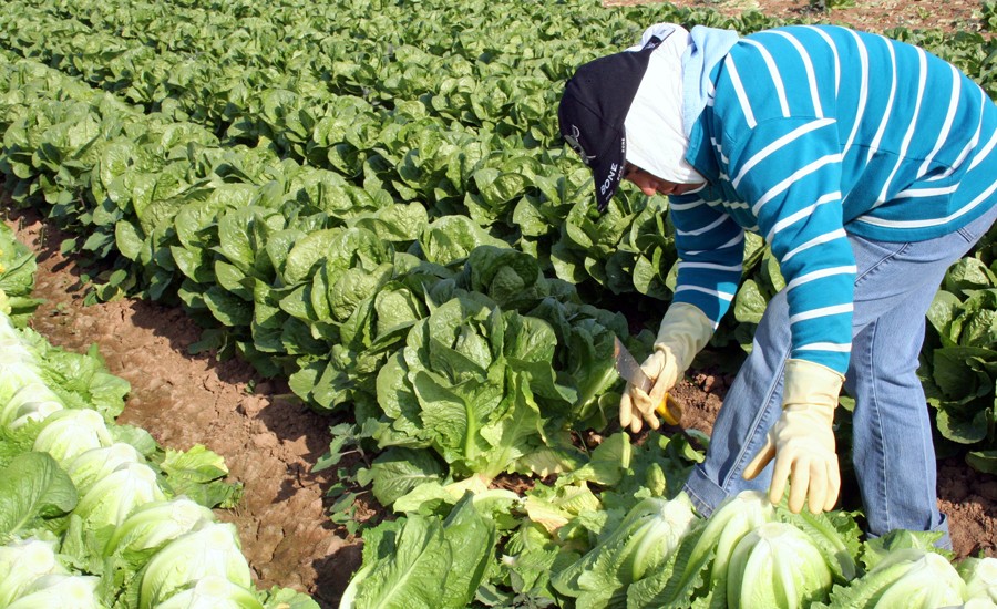 Más de 22 mil millones de pesos serán destinados a la modernización del campo.
