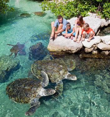 tortugas-xcaret
