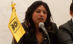 Roxana Luna Porquillo