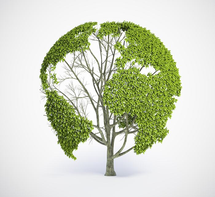 Foto: Shutterstock
