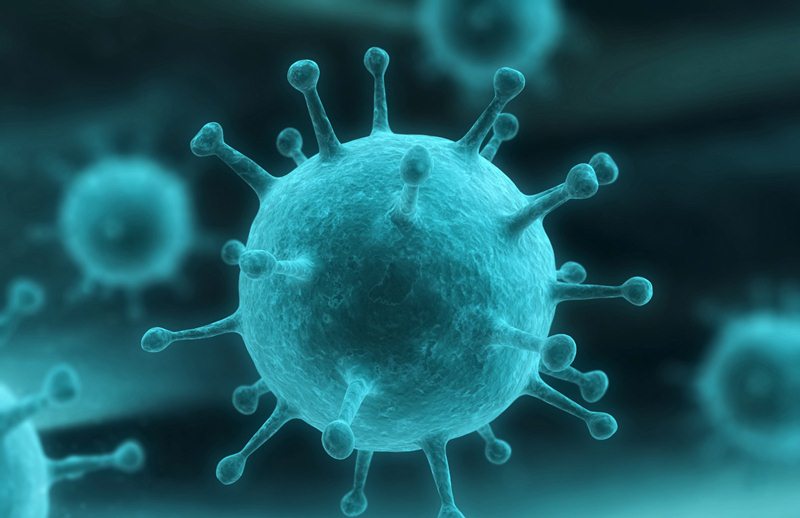 Virus de influenza H1N1 podría ser más agresivo | Almomento.Mx