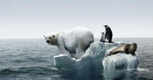 CADA vez es mayor el número de gases de efecto invernadero en el medio ambiente generando el cambio climático Foto Especial